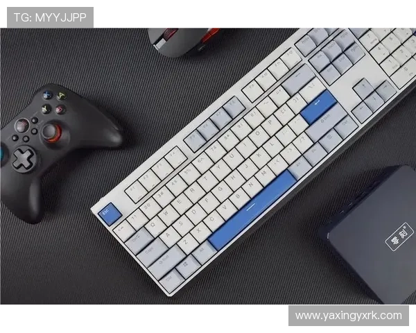 亚星游戏登录入口888多平台登录支持，满足不同设备玩家的多样需求