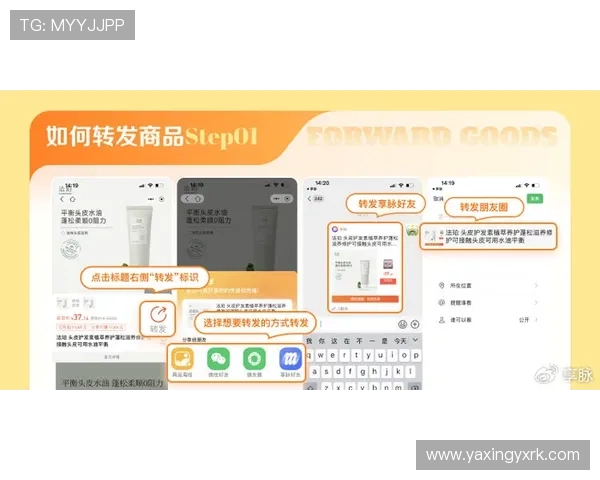 亚星登录官网111：针对不同用户群体的个性化登录指南满足多样化需求