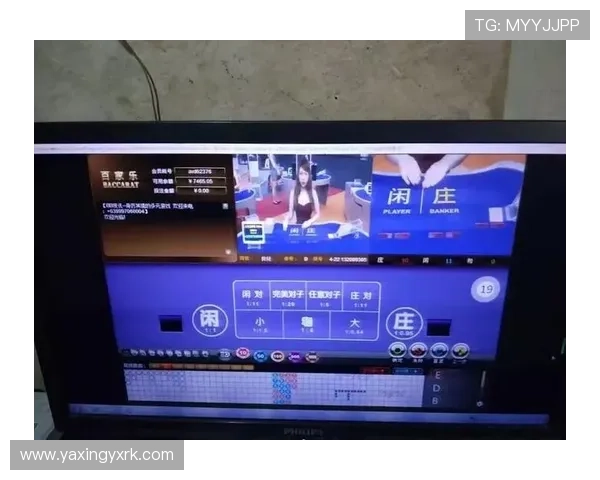 新手必看百家乐规则表完整内容详解帮助玩家快速入门百家乐游戏