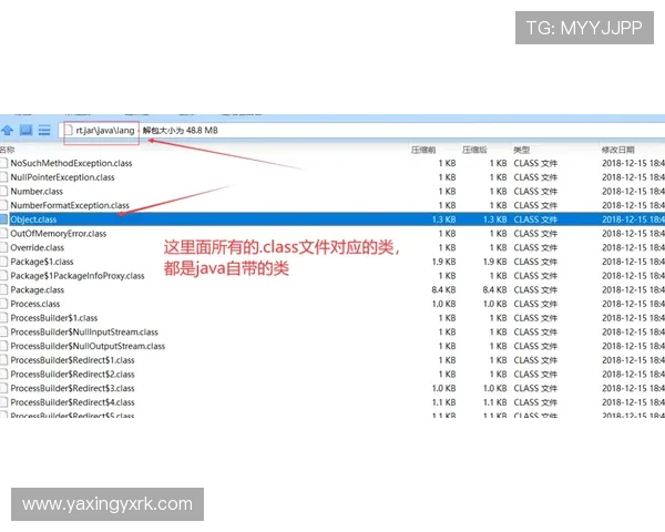 深入了解亚星官网：用户注册与信息查询的详细步骤